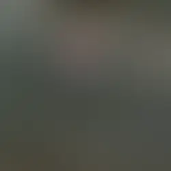 AVA FRANKS | GOOD SCAR