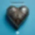 CLAUDETTE & ROY | MY HEART SURVIVES
