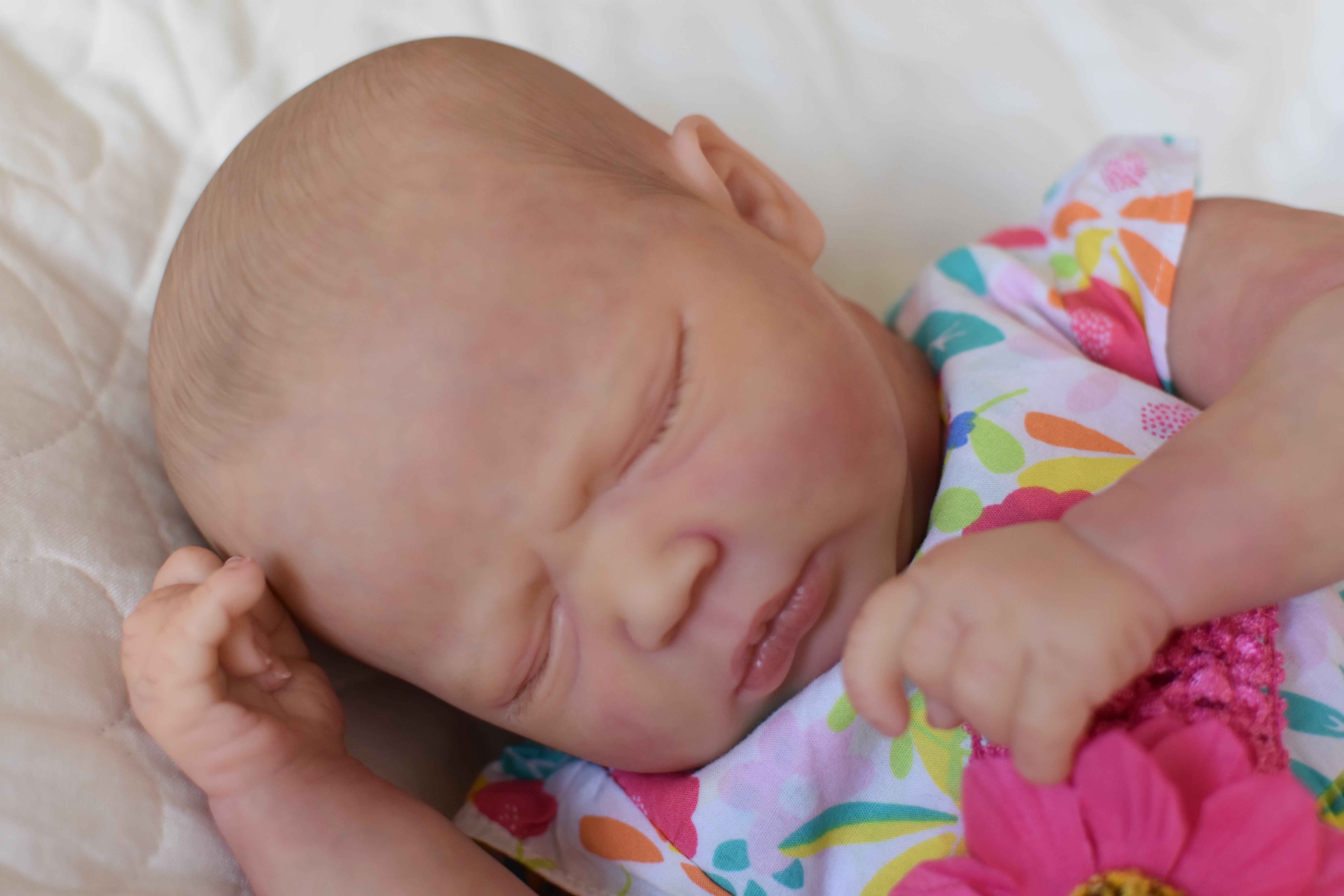 denise pratt reborn