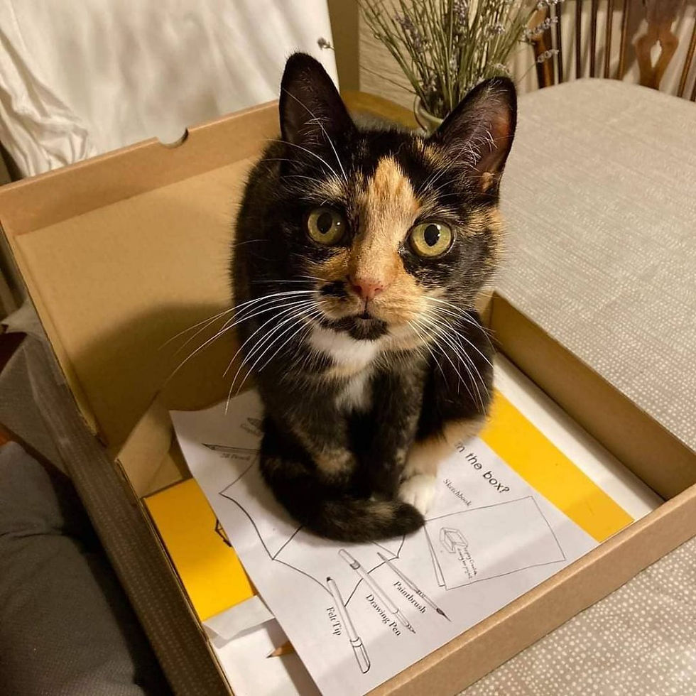 Jane Gerwitz Drawing Box Project