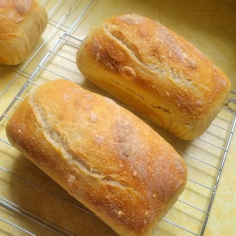 Original Sandwich Loaf- Bulk