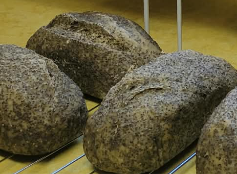 Coconut Chia Pudding Loaf - Bulk