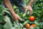 AdobeStock_838241933.jpeg