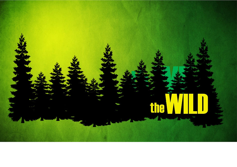 The Wild Logo