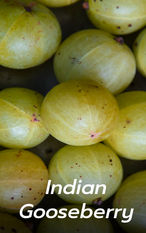 มะขามป้อม indian gooseberry, ingredients in Pawan
