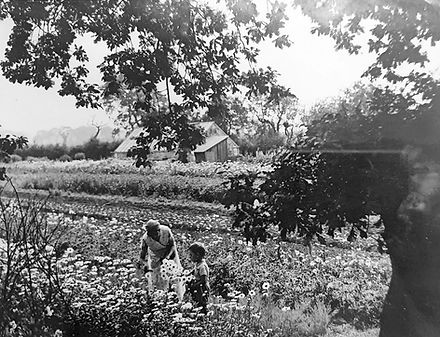 PC 1939-001 Flowers to the gate Caroline_s dad Keith and his mum Laura (c) Caroline Dumvi