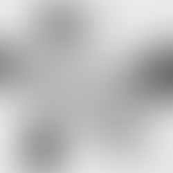 A CONSCIOUS FOCUS, Anonymous