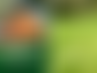 TIME TO WEED, FEED AND SEED!