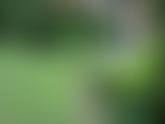 DESIGNING A LANDSCAPE YOU'LL LOVE!