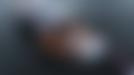 Onda de "boat offices" puxa mercado de conectividade via satélite para US$ 5 bilhões e fabricante brasileiro de lanchas aposta na tecnologia