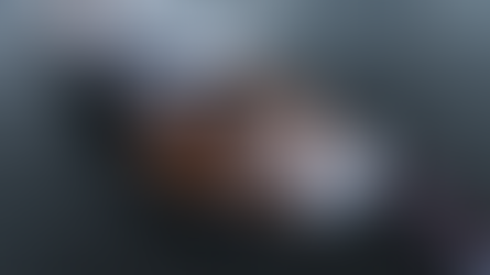 Onda de "boat offices" puxa mercado de conectividade via satélite para US$ 5 bilhões e fabricante brasileiro de lanchas aposta na tecnologia