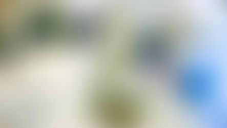 L’Oréal investe em empreendimento de biotecnologia para escalar o desenvolvimento de ingredientes