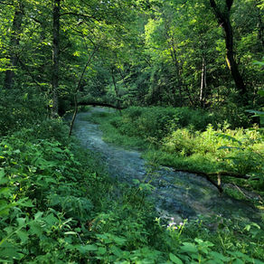 Beaver Creek Valley State Park- connect to nature, disconnect from your phone, eat a s'more or two