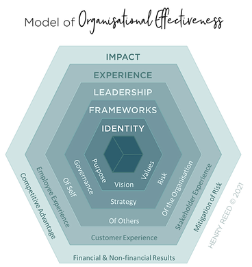 Model of Organisational Effectiveness 2021 (c).png