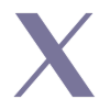 X Twitter