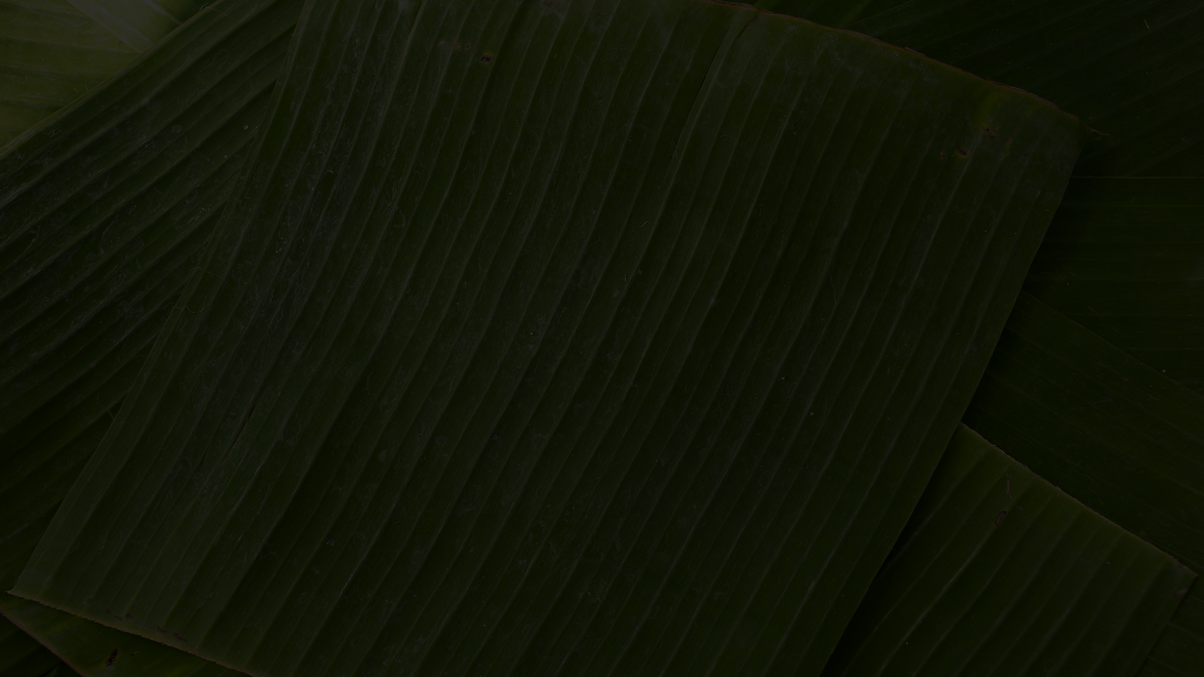 WEB (7).png