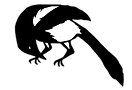 Magpie 3 PNG_edited_edited.png