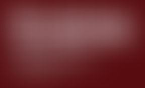 SINDICATO SELECIONA PARA CARGOS EXECUTIVOS NO AMAZONAS