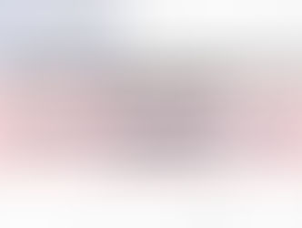 Secretaria do Meio Ambiente do Amazonas recebe apresentação do Projeto "Lixo Zero, Social 10"