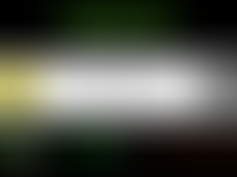 Iranduba - AM recebe Elo Social para apresentação do Projeto “Lixo Zero, Social 10” 