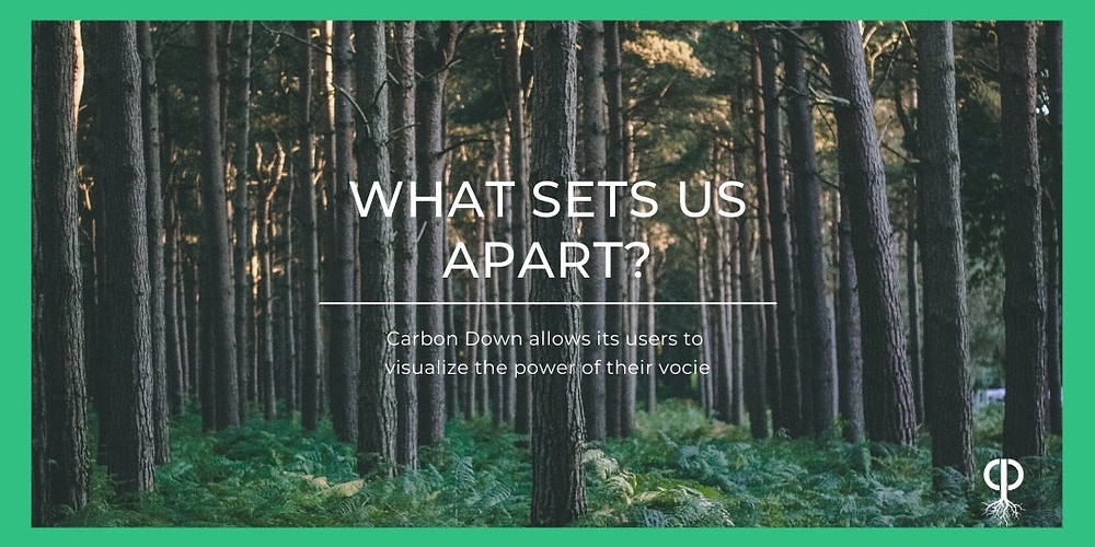 Carbon Down enables users to track the carbon offsets created by their influence.