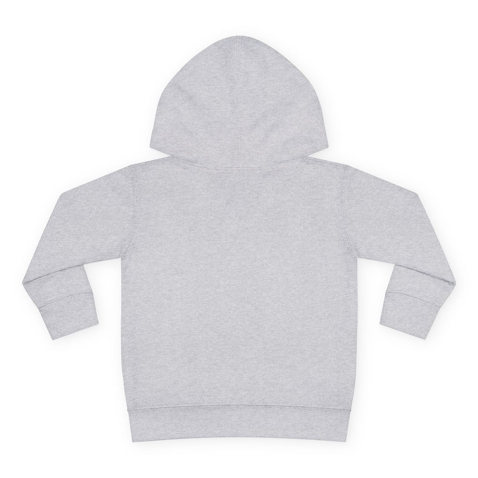 Noah's Ark toddler hoodie with a picture of a cute baby animal and a Christian message.