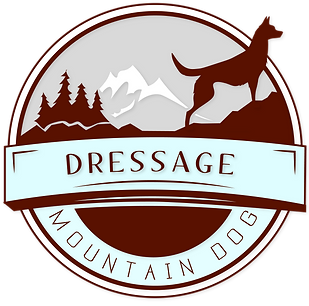 dressage .png