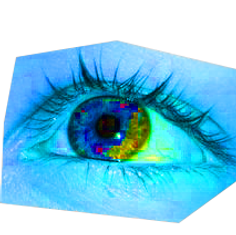 ojo 1_edited_edited.png