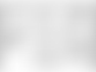 Election Newsletter - 2025