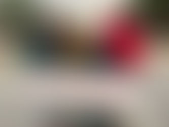 Ward 5 Newsletter - November 2025