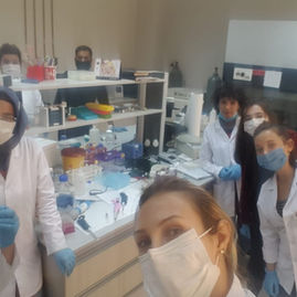 jel dokme gunu.jpg