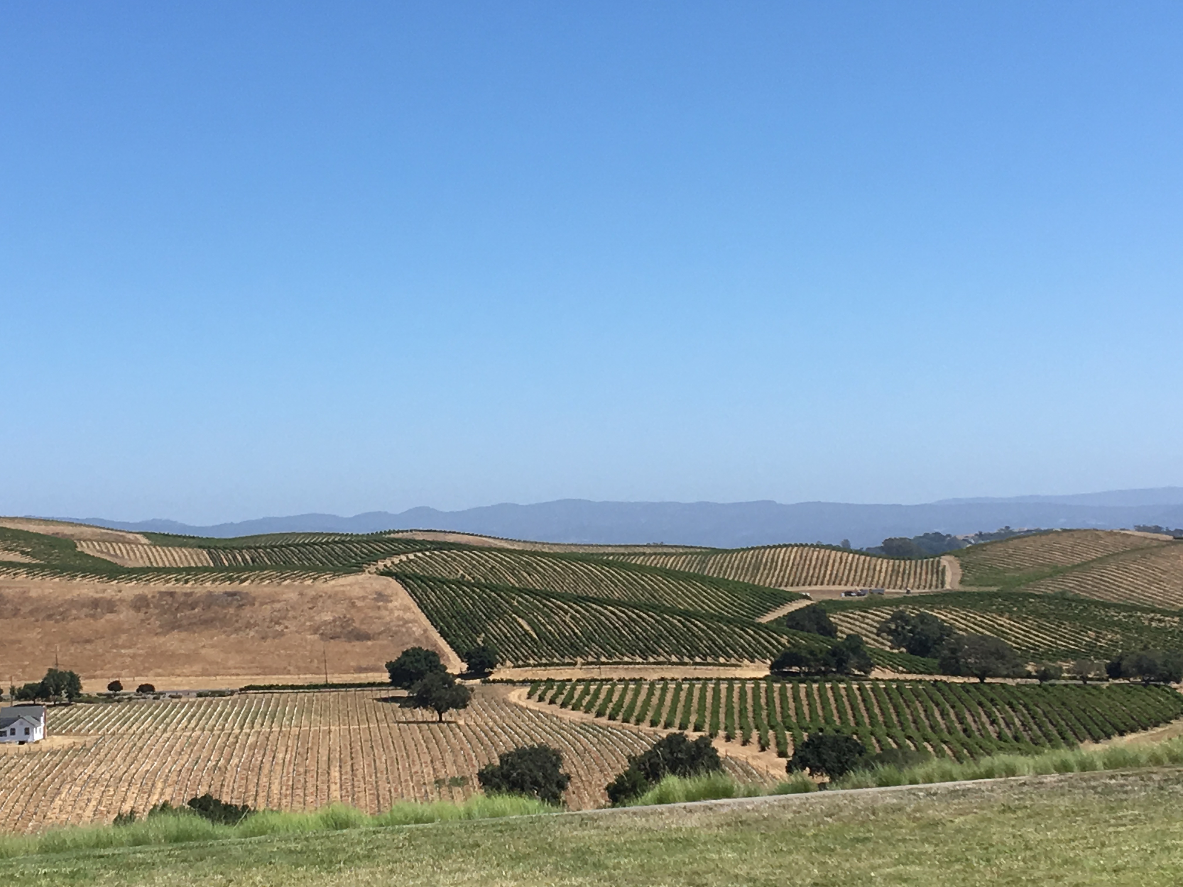 Napa Valley, Ca