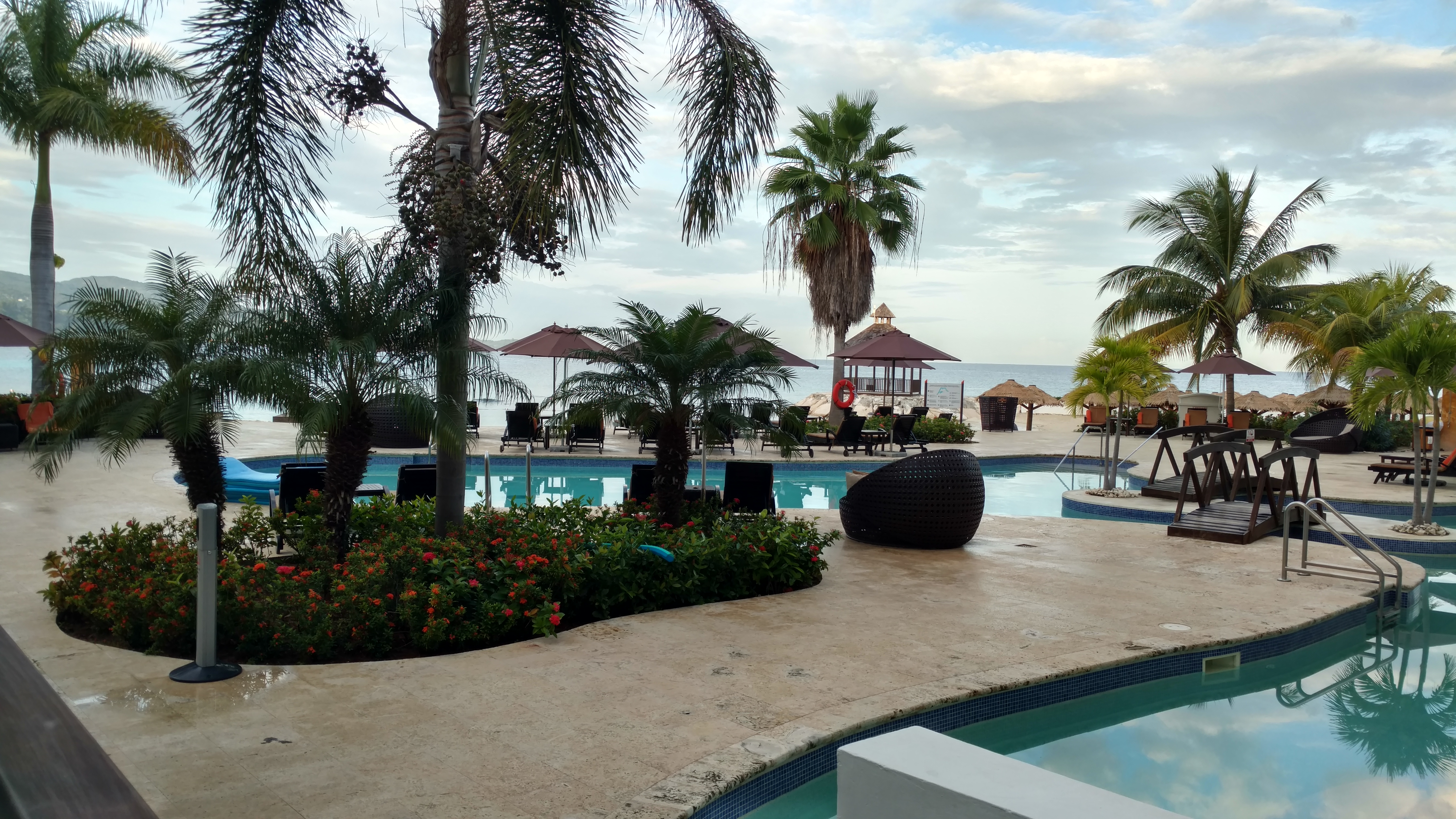 Secrets Wild Orchid Preferred Club