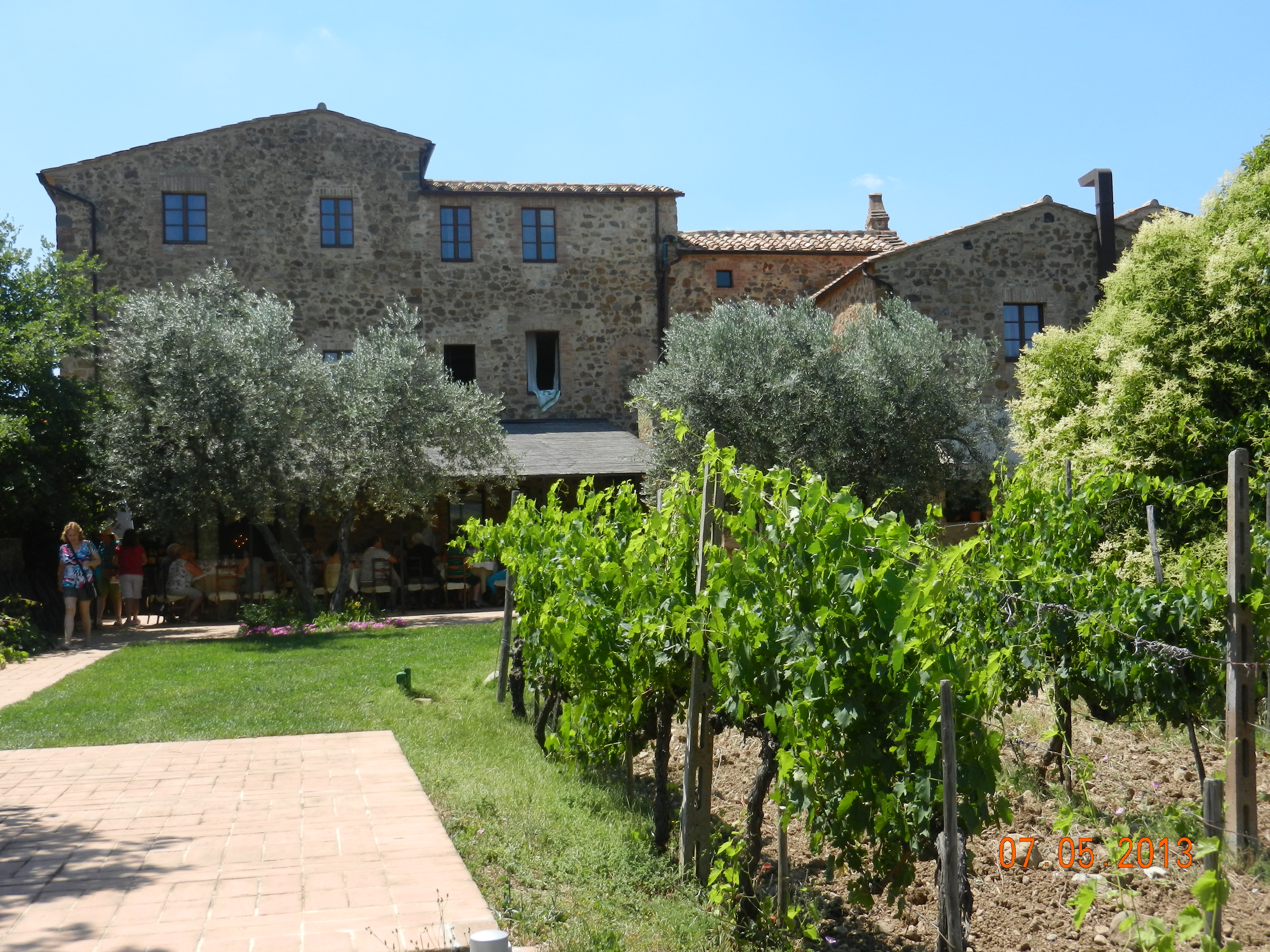 Winery near Montalcino, (Tuscany)