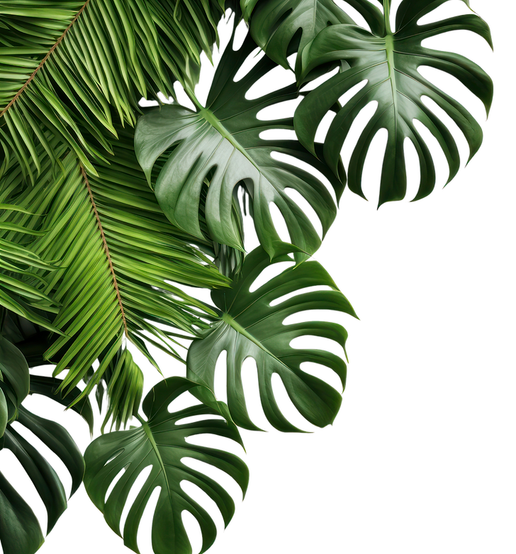 image-from-rawpixel-id-15962895-png.png