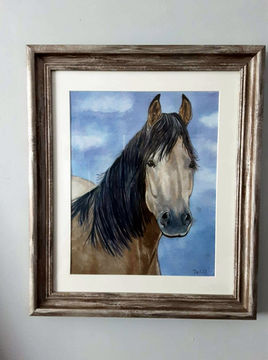 Dorset artist horse water colour painting