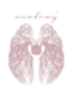 Brain Stems