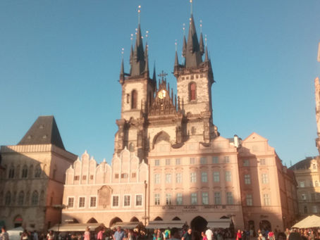 Two ConvergeAnt talks at ICVM 2019