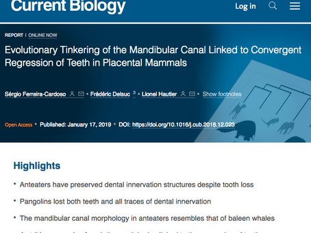 Sérgio's first PhD paper published in Current Biology!