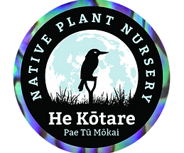 He Kōtare Logo - Transparent Background.png