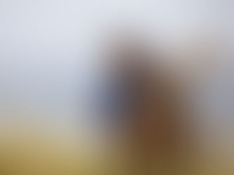 Community effort to restore the shores of Lake Wairarapa