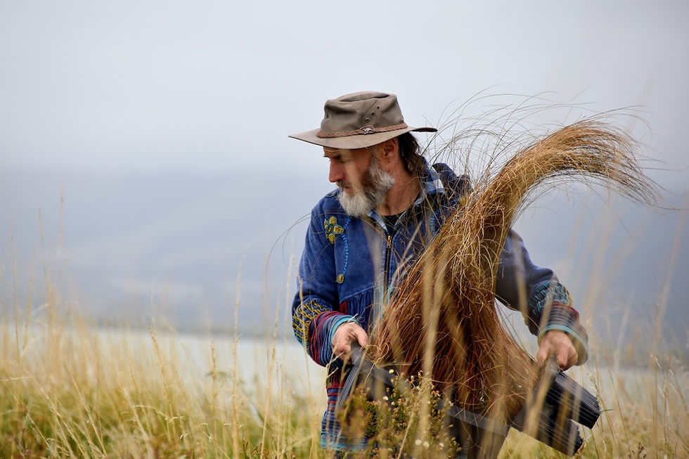 Community effort to restore the shores of Lake Wairarapa