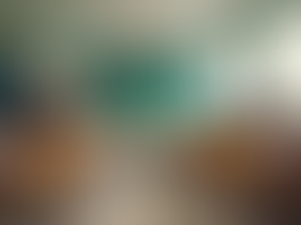 Strengthening Families with Bilingual Education Initiatives