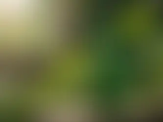 How can eco-friendly cleaning solutions make a positive impact on our planet? Explore our sustainable options to find out!