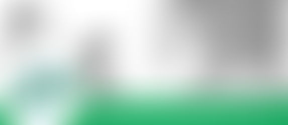 Internal elections SFE + New Executive Committee