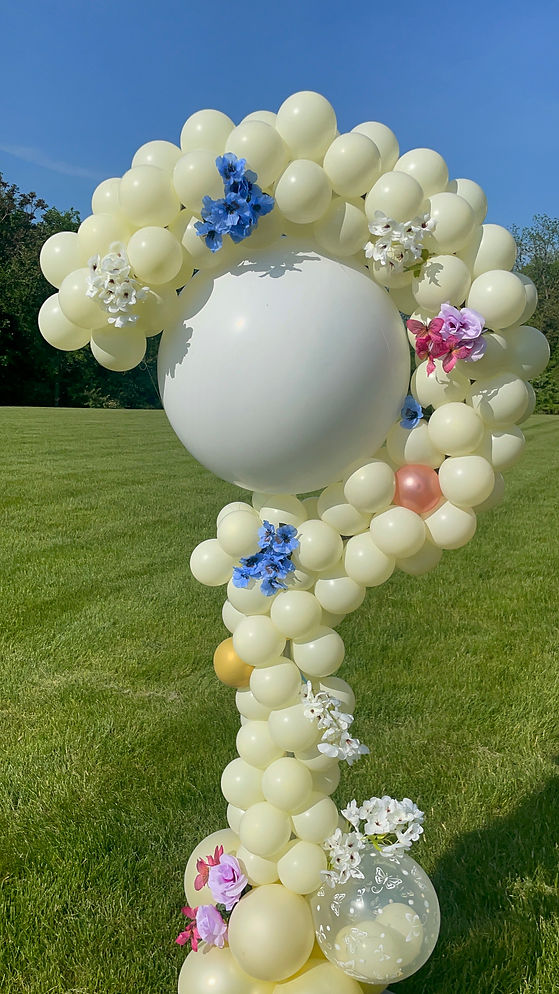 Gender Reveal Balloon Arch Near Beacon New York.jpeg