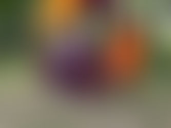 When Second Chances Go Better Than Expected...