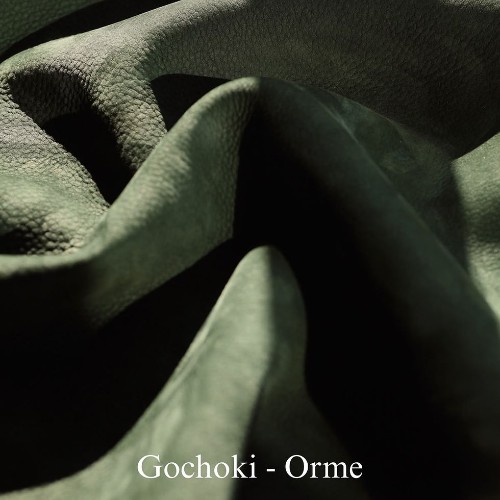 Thumbnail: Remy Carriat Gochoki - Taurillon