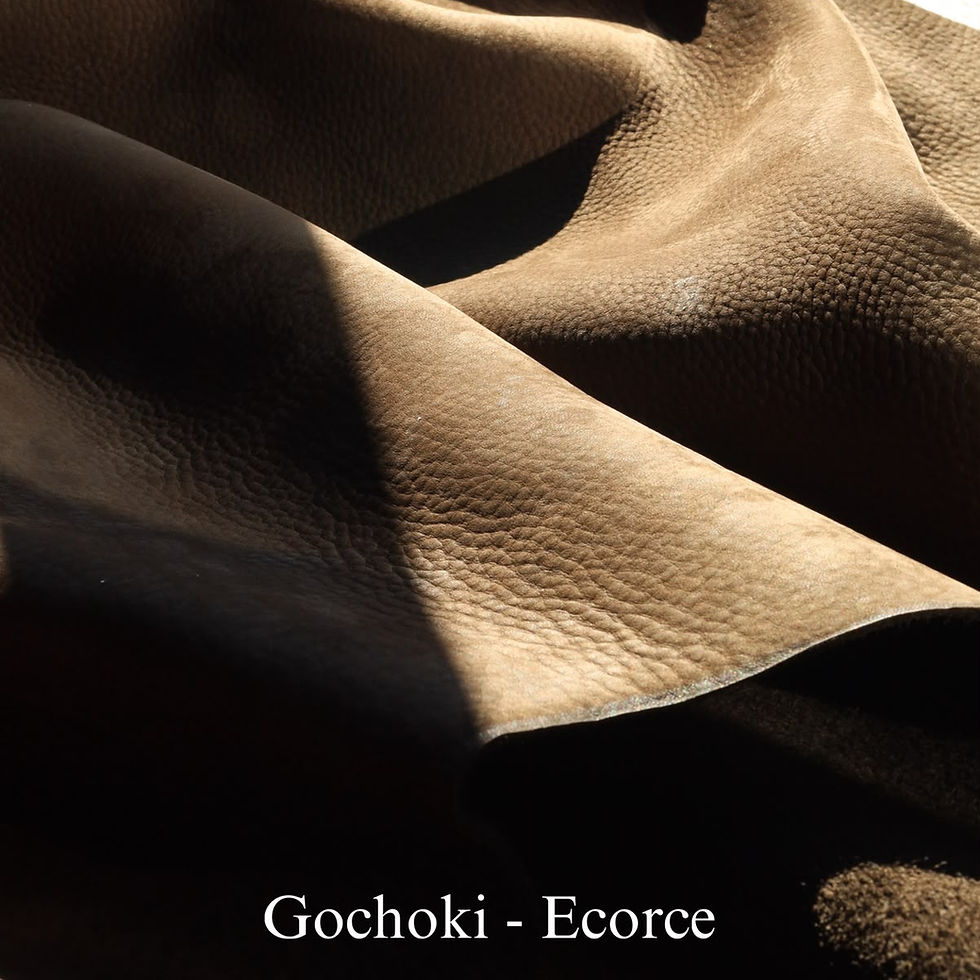 Thumbnail: Remy Carriat Gochoki - Taurillon