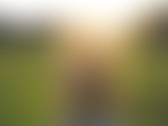 Healing Trauma: A Holistic Approach to Recovery